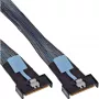InLine 27661A Kabel Serial Attached SCSI (SAS) 0,5 m 24 Gbit/s Czarny, Niebieski, Szary