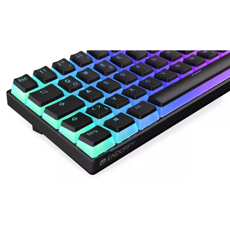 Klawiatura gamingowa ENDORFY Thock Compact RF Bezprzewodowa USB QWERTZ 61 klawiszy RGB LED