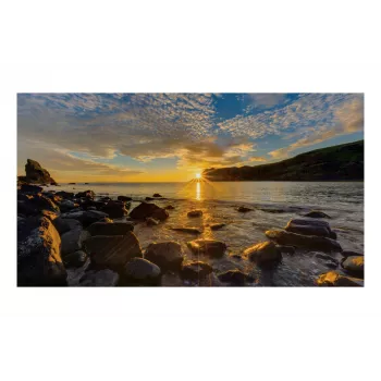 Monitor Samsung IF015R 15 cali LED 640 x 360 pikseli