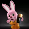 Bateria jednorazowa Duracell Plus C alkaliczna