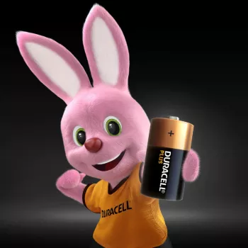 Bateria jednorazowa Duracell Plus C alkaliczna