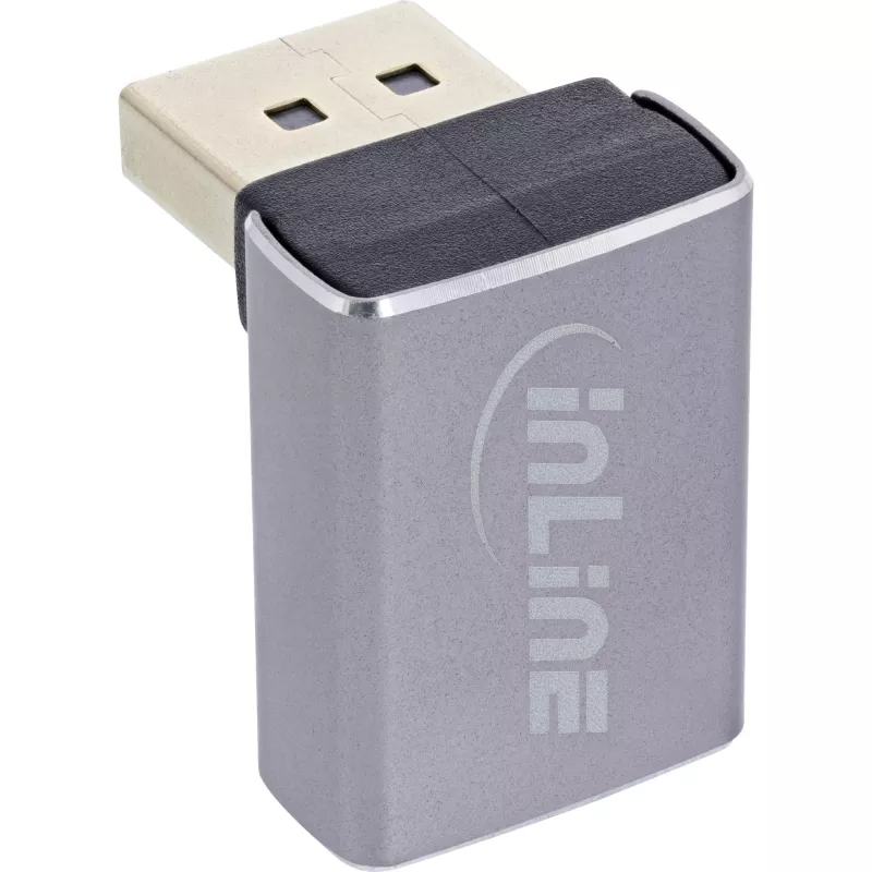 InLine 17291G zmieniacz płci kabla DisplayPort Szary, Czarny