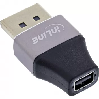 InLine 17291B przejściówka DisplayPort Mini DisplayPort Czarny, Szary