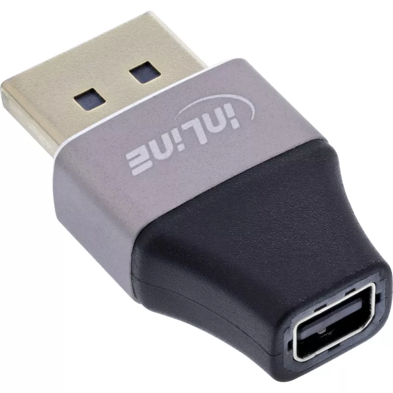 InLine 17291B przejściówka DisplayPort Mini DisplayPort Czarny, Szary