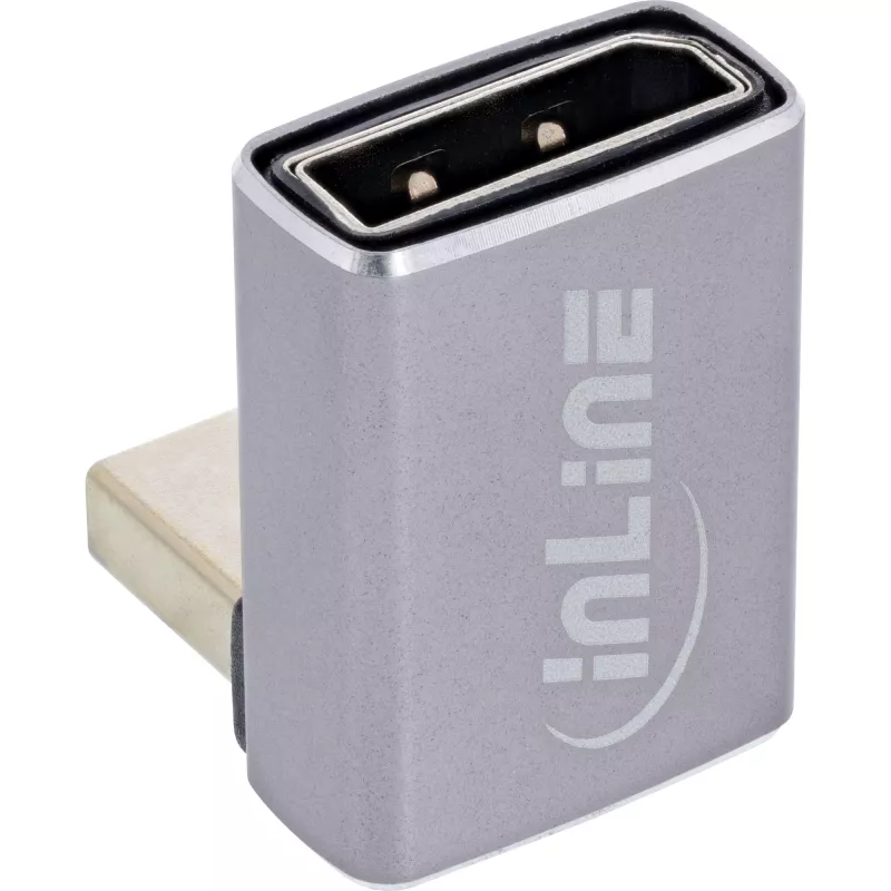 InLine 17291F przejściówka zmieniająca płeć złącza DisplayPort na Mini DisplayPort Szary, Czarny