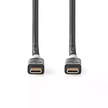 Kabel USB Nedis CCBW64020AT20 USB4 Gen 2x2 2 m USB C Czarny Srebrny