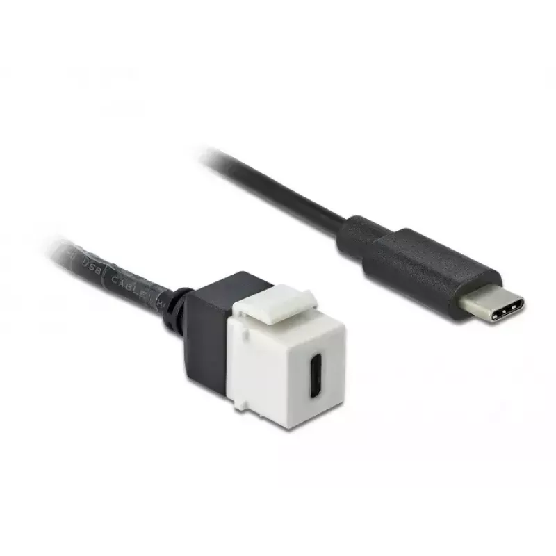 Moduł Keystone DeLOCK 86399 Płaski Czarny Biały USB C