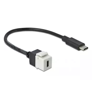 Moduł Keystone DeLOCK 86399 Płaski Czarny Biały USB C