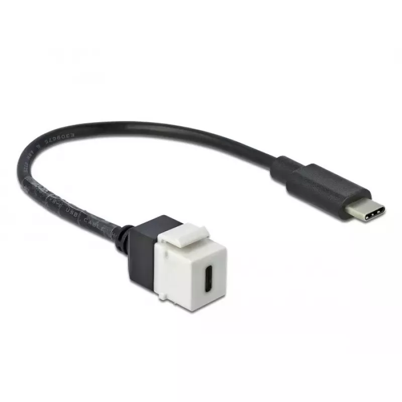 Moduł Keystone DeLOCK 86399 Płaski Czarny Biały USB C