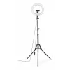 Lighting Ring Hama SpotLight Steady 120 III 160 LED 1020 lm 3000 K
