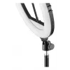 Lighting Ring Hama SpotLight Steady 120 III 160 LED 1020 lm 3000 K