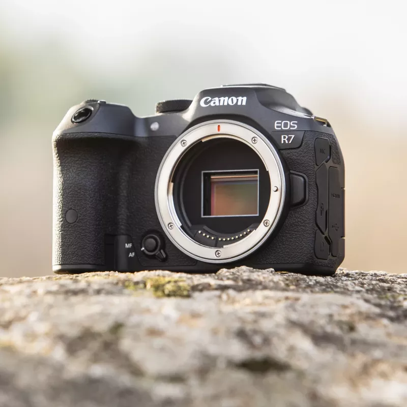 Canon EOS R7 MILC Body 32.5 MP CMOS 6960 x 4640 pikseli Czarny