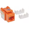 Intellinet Keystone Jack, Cat6, UTP, do zaciskania, pomarańczowy