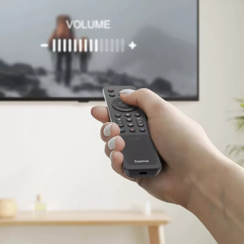 Hama 00221058 pilot zdalnego sterowania Bluetooth TV Przyciski