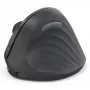Hama EWM-600R mysz biurowa praworęczna RF Wireless + Bluetooth Optyczna 1800 DPI
