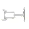 InLine Premium Aluminium Wall Mount for płaski TV 37-80 inch biały 70 kg