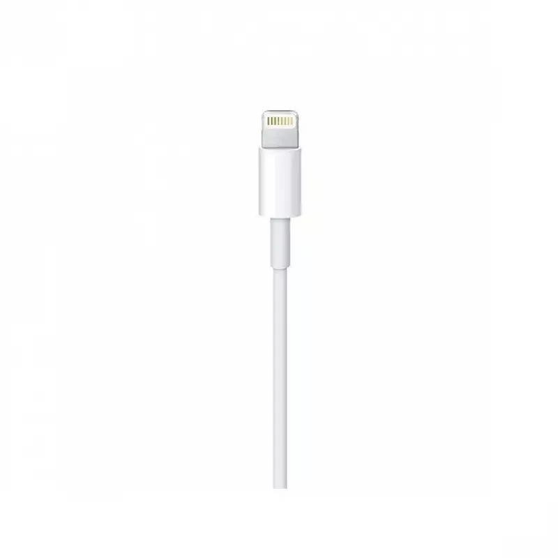 Kabel Apple Lightning na USB-C (2 m) MKQ42ZM/A