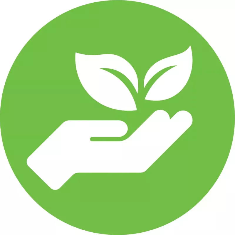 Etykieta wysyłkowa / Plakietka z nazwiskiem DYMO LW 54x101 2133400