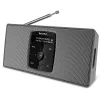 Radio przenośne TechniSat 0000/3911