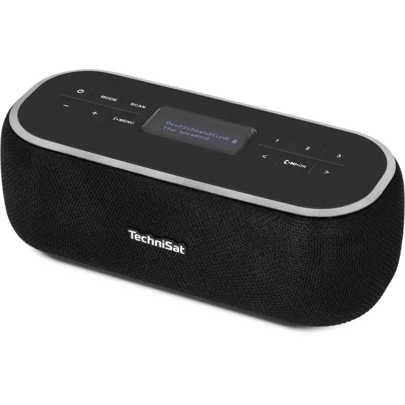 Radio przenośne TechniSat 0000/3968