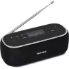 Radio przenośne TechniSat 0000/3968