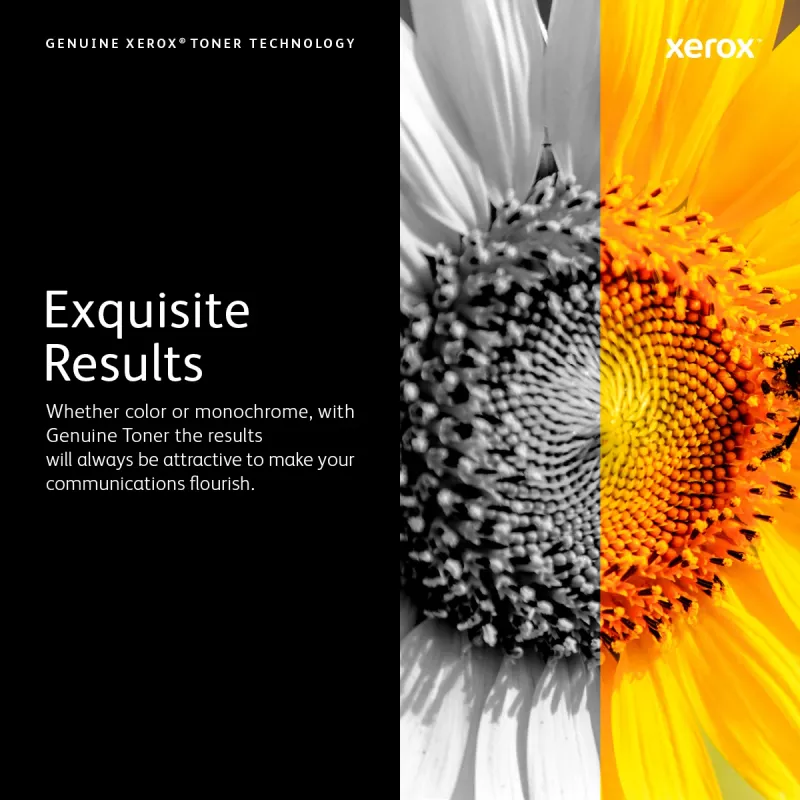 Xerox 6R1459 oryginalny toner 1 szt. magenta