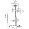 Regulowany wózek pod telewizor InLine, do telewizorów LED 37-70 cali (94-178 cm), maks. 50 kg