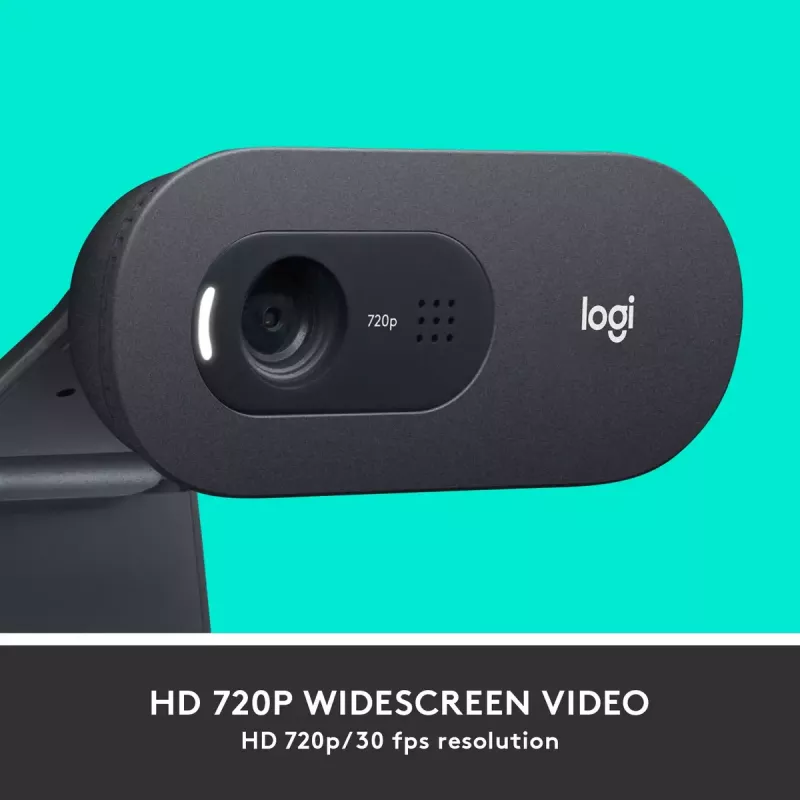Kamera internetowa Logitech C505 HD 1280x720 USB Czarna