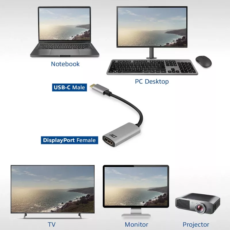 Adapter USB-C na DisplayPort ACT AC7030