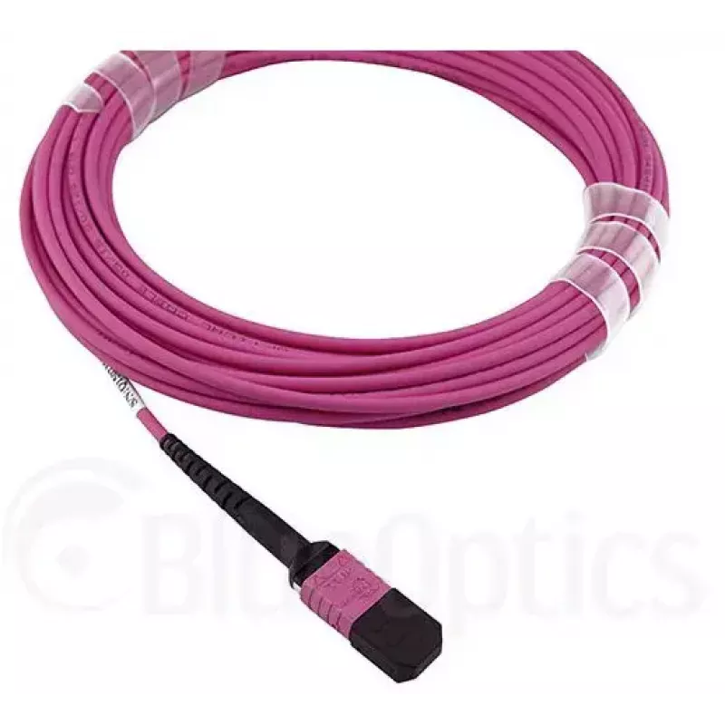 Kabel światłowodowy MPO BlueOptics CBL-MPO12-OM4-1M 1m OM4