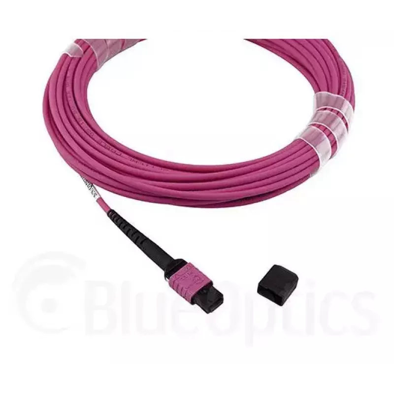 Kabel światłowodowy MPO BlueOptics CBL-MPO12-OM4-1M 1m OM4