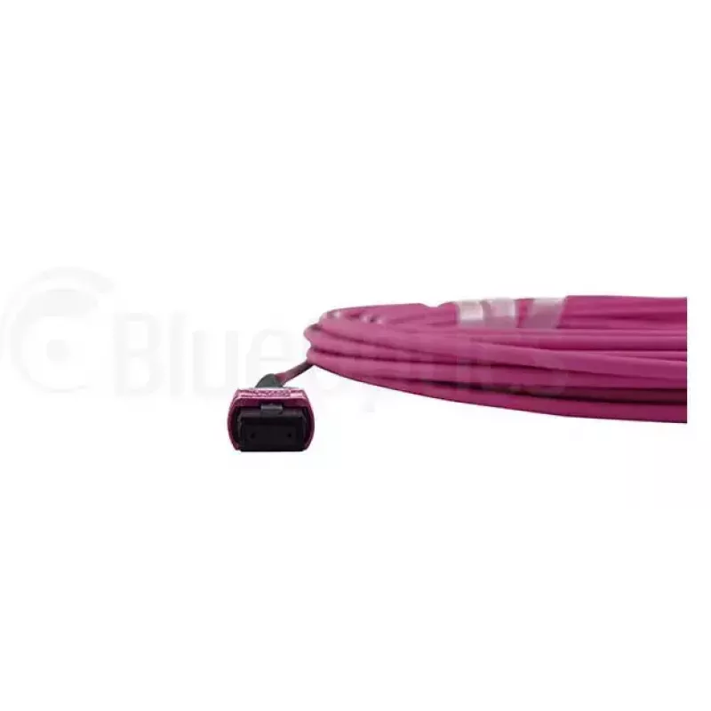 Kabel światłowodowy MPO BlueOptics CBL-MPO12-OM4-1M 1m OM4