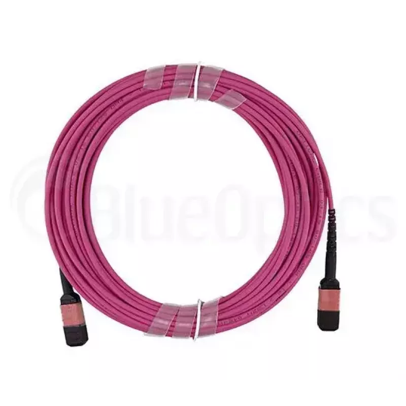 Kabel światłowodowy MPO BlueOptics CBL-MPO12-OM4-1M 1m OM4