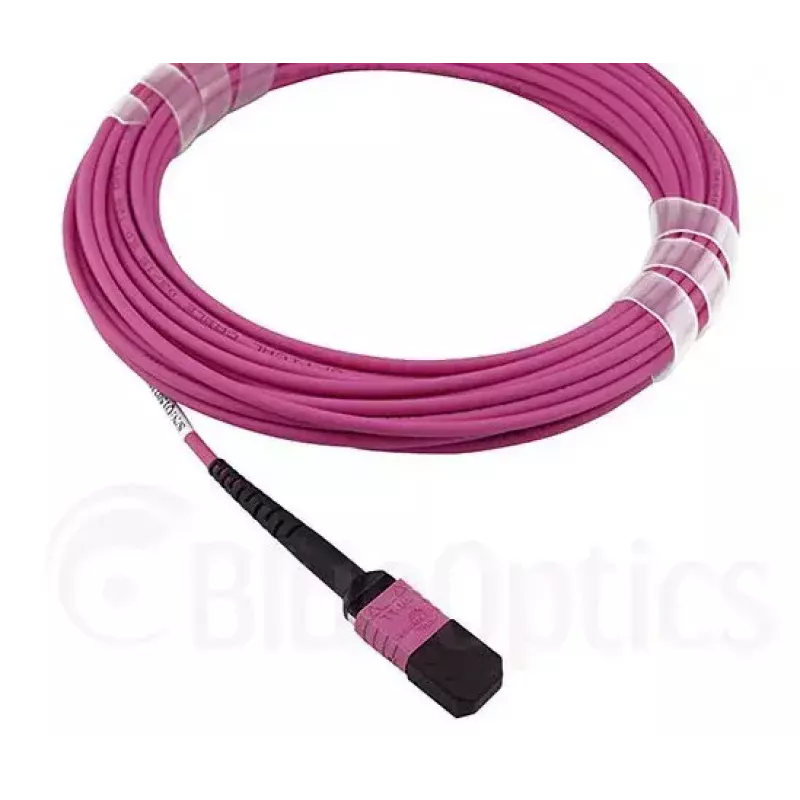 BlueOptics CBL-MPO12-OM4-2M InfiniBand przewód światłowodowy MPO 2m OM4