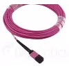BlueOptics CBL-MPO12-OM4-3M-BO Kabel światłowodowy MPO 3m OM4 50µm