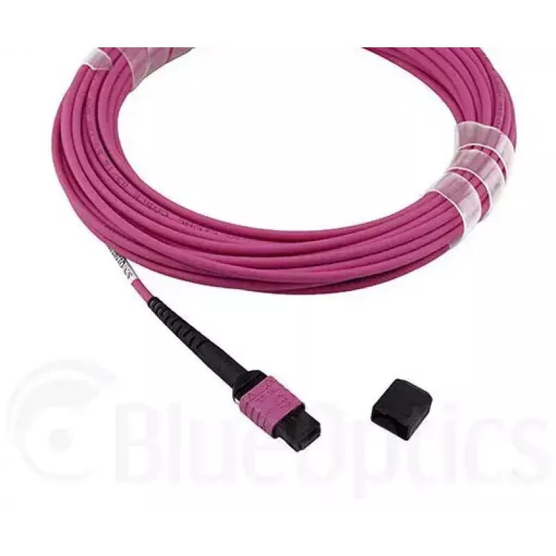 BlueOptics CBL-MPO12-OM4-3M-BO Kabel światłowodowy MPO 3m OM4 50µm