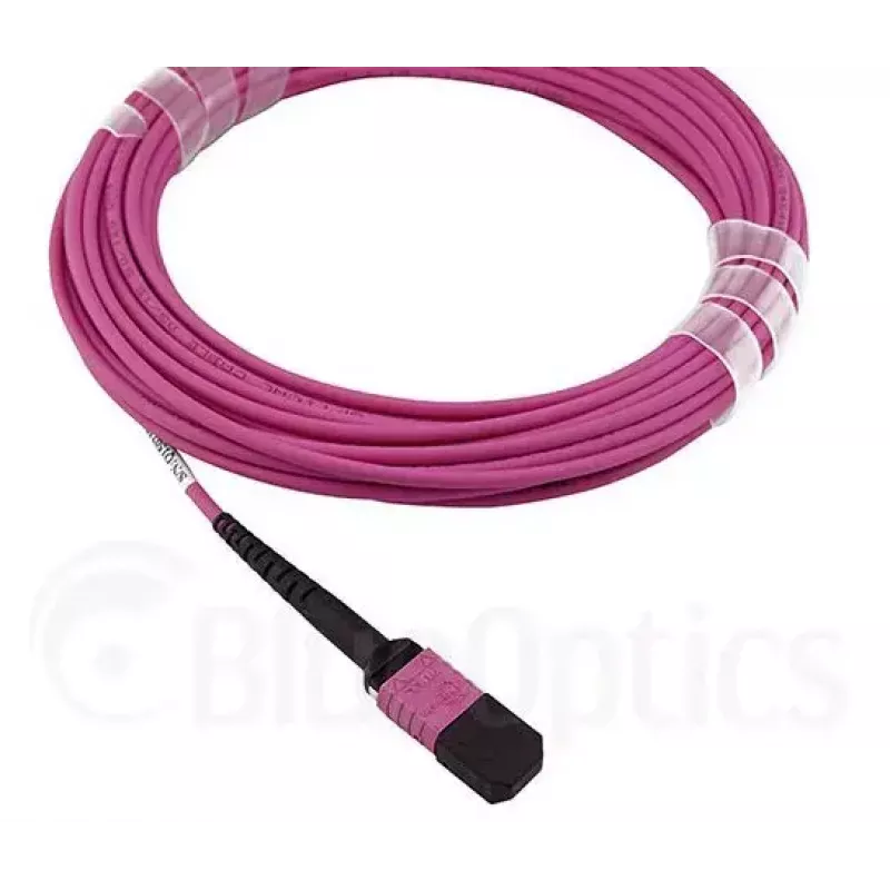 Kabel światłowodowy MPO BlueOptics CBL-MPO12-OM4-5M-BO 5 m OM4 50 µm