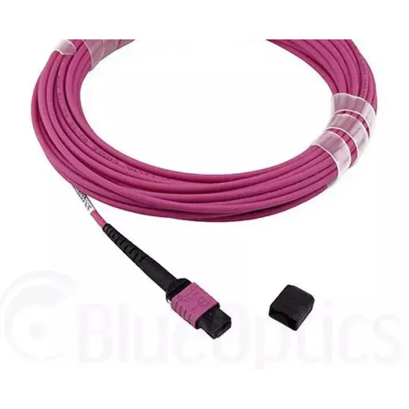 Kabel światłowodowy MPO BlueOptics CBL-MPO12-OM4-5M-BO 5 m OM4 50 µm