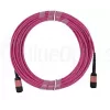 Kabel światłowodowy MPO BlueOptics CBL-MPO12-OM4-5M-BO 5 m OM4 50 µm