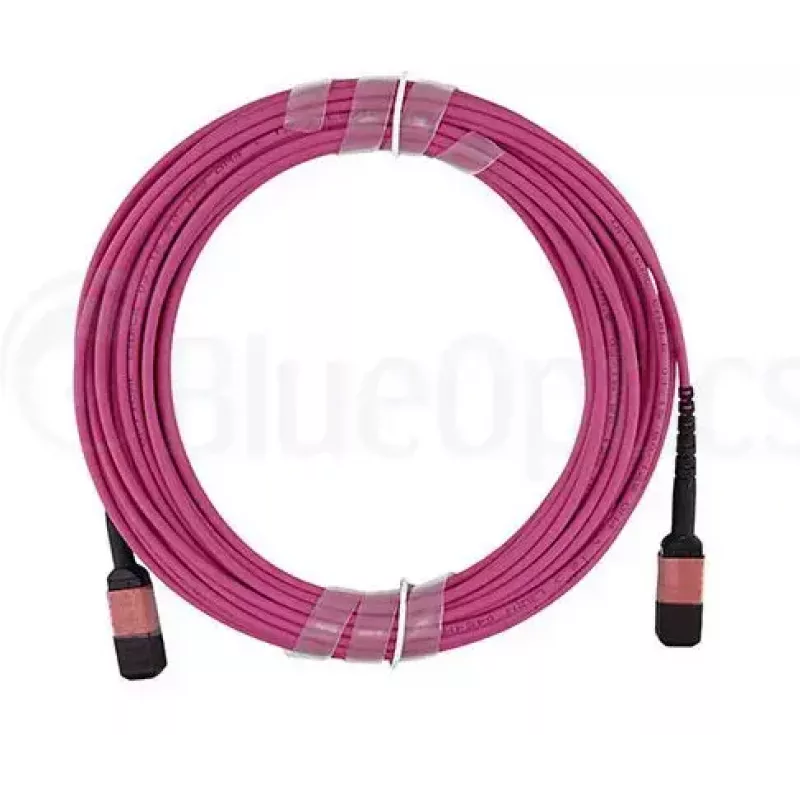 Kabel światłowodowy MPO BlueOptics CBL-MPO12-OM4-5M-BO 5 m OM4 50 µm