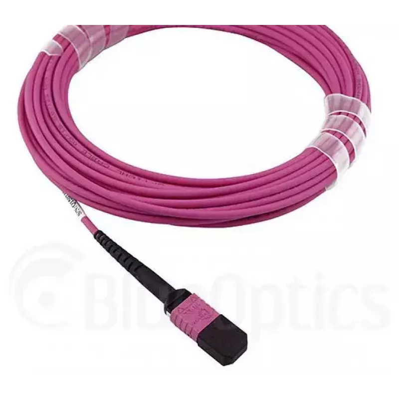 BlueOptics HH5CP kabel InfiniBand/światłowodowy 3 m MPO 4x LC