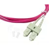 BlueOptics SFP3232FU10MK kabel światłowodowy InfiniBand 10 m SC