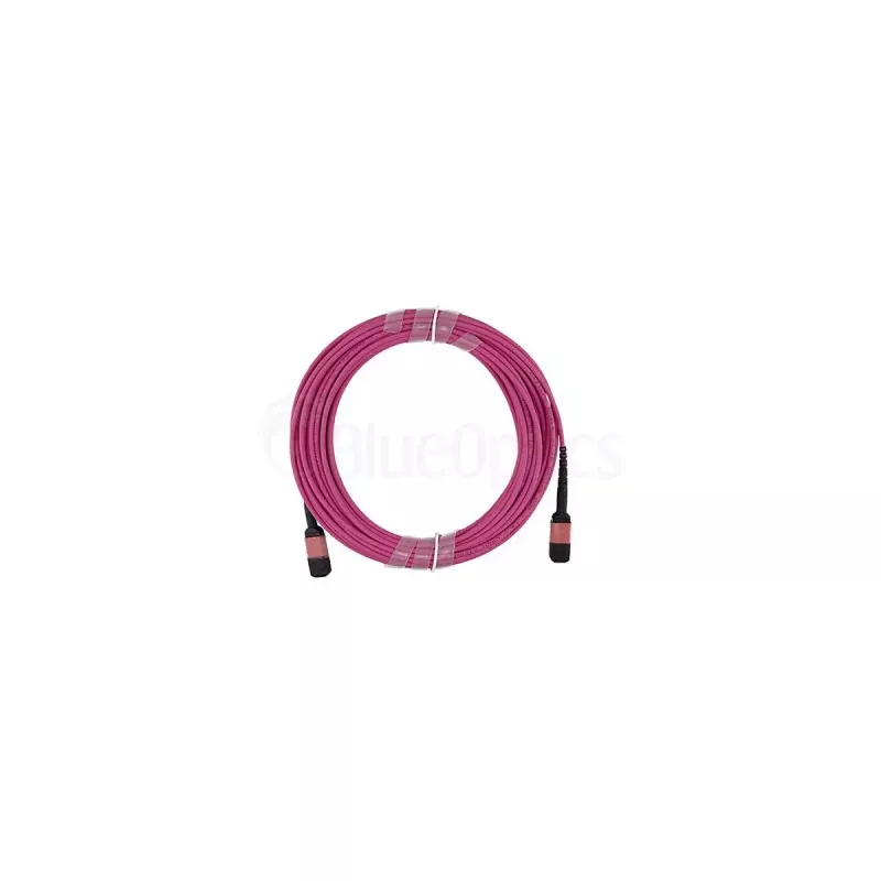 BlueOptics SFP5252FU2MKB kabel światłowodowy InfiniBand 2 m MPO OM4