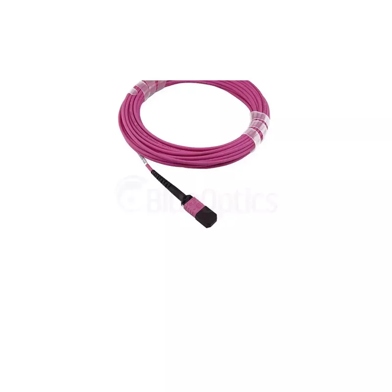 Światłowodowy kabel BlueOptics SFP5252FU50MKB MPO OM4 50 m fioletowy