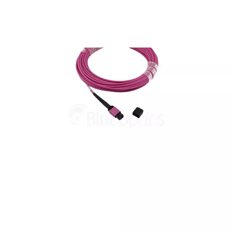 Światłowodowy kabel BlueOptics SFP5252FU50MKB MPO OM4 50 m fioletowy