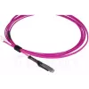 Światłowodowy kabel krosowy BlueOptics SFP9231FU2MK MDC LC OM4 2 m magenta