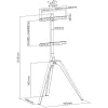 InLine woodstand stojak telewizyjny, statyw, do wyświetlaczy 45-65 cali (114-165 cm), maks. 40 kg