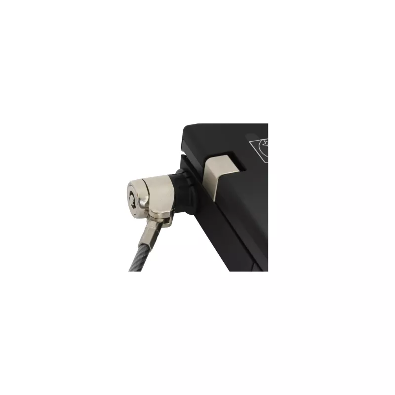 InLine Notebook Security Lock z kluczem 4.4mm x 2m