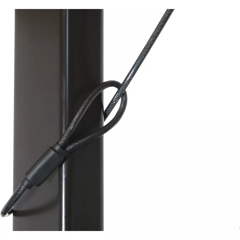 InLine iPad Security Case Stand z zamkiem bezpieczeństwa i kluczem 2m