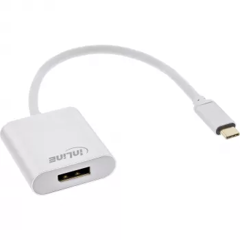 Konwerter USB Display InLine 64102S USB-C na DisplayPort 4K 60 Hz